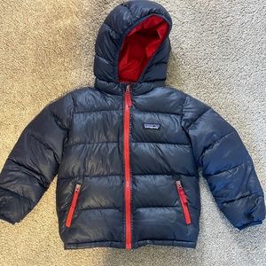Patagonia Hi- Loft Down Winter Coat